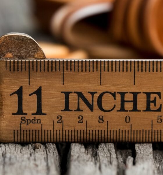 how big is 11 inches