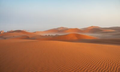 desert